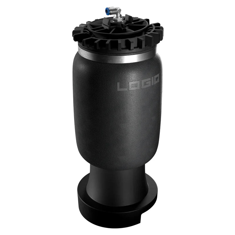 LogIQ 2009+ RAM 1500 - Air Spring Kit